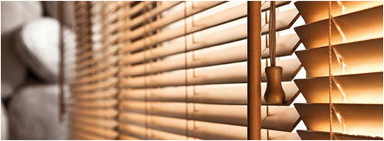 Beispielbild - Bambus-Kollektion 